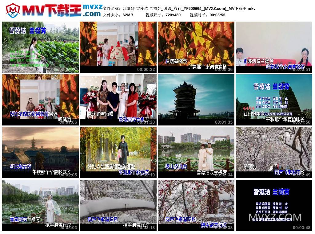江虹娇-雪藻洁 兰襟芳_国语_流行_YF600565